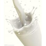 Complete Milk Processing Line Standard Size With CIP Cleaning System for sale
