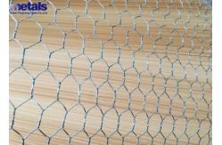 China Galvanized Chicken 1/2  1 Hexagonal Steel Mesh For Poultry Netting supplier