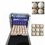 Printer Spare Parts Egg Printing Machine / Ink Cartridge Printer On Eggs Shell , Egg Label Printer for sale