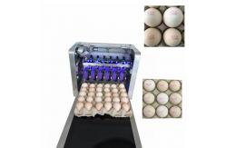 China Poultry Industry Eggs Food Inkjet Printer With U Disk Loading Easy To Edit supplier