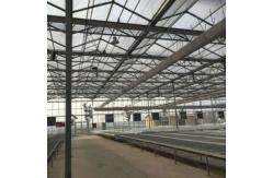 China Industrial Insulated Steel Frame Buildings Construction With Metallic Materials Frame supplier