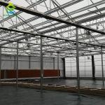 220V Gutter Connected Large Tunnel Greenhouse