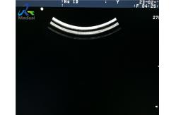 China Hospital UST-9104-5 Micro Convex Probe 7.5 MHz Ultrasonic Transducer supplier