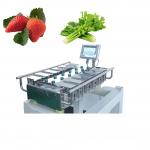 250g 500g 1000g Manual Packaging Machine Vegetables Fruits Weighing for sale