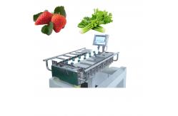 China 250g 500g 1000g Manual Packaging Machine Vegetables Fruits Weighing supplier
