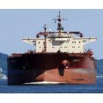 Professional Bulk Carrier Loading Procedure , Quality Control Inspection Services for sale