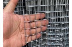 China Square Hole Galvanized Iron Mesh Welded Wire Mesh For Windows Fence supplier