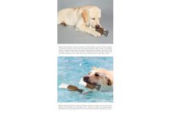China Molar Popsicle Pet Dog Molar Stick TPR ABS Chew Toy Dog Toothbrush 154g supplier
