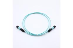 China Blue Single Mode Low Insertion Loss Mpo Patch Cord supplier