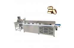 China Papa Mini Chocolate Enrober Machine / Small Chocolate Enrobing Line supplier