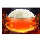 11 Liter 2.1mm Thickness 50 Cup Commercial Electric Rice Cooker for sale