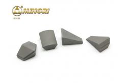 China Tungsten Cemented Carbide Shield Cutter For Insert / Tunneling Boring Machine supplier