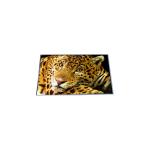 P500QVF02.0 50.0 inch 4K LCD Screen Display for sale