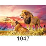 Custom 3D Lenticular Printing 60*80cm / Wall Poster 3D Animals Photos for sale