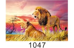 China Custom 3D Lenticular Printing 60*80cm / Wall Poster 3D Animals Photos supplier