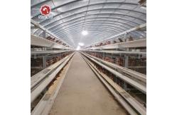 China 3/4/5 Layers Poultry Chicken Cage Complete Egg Chicken Layer Breeding Equipment supplier