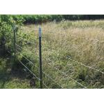 Rust Resistance PVC Coated /Galvanized Barbed Wire Coils Fence for sale