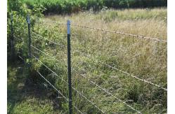 China Rust Resistance PVC Coated /Galvanized Barbed Wire Coils Fence supplier