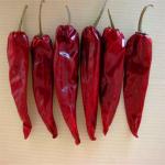 Hot Dried Paprika Peppers With Stem Air Dried 8000-12000shu for sale
