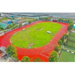 Aging resistance 13mm Sandwich System Running Track Acid & Alkali Resistance for sale