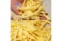 China Small commercial vegetable cutting machine Vegetable and melon slicing, slicing and slicing machine supplier