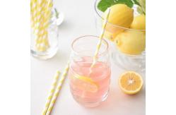 China Smooth Multi Layered Assorted Paper Straws Durable Reusable Water Resistant supplier