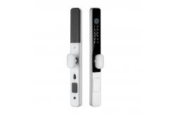 China TTlock Tuya Unlock Biometric Lock S608 Zinc Alloy IP65 Waterproof Smart Lock supplier