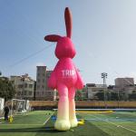 Giant Inflatable Rabbit Inflatable Rabbit Cartoon Inflatable Bunny For Art for sale