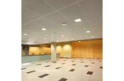 China 600x600mm Clip In Ceiling With Thickness 30mm Bevelled And Square Edge supplier