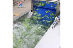 China 165MM Belt Industrial Vegetable Processing Machine Fruit Selection Washing Cutting Machine supplier