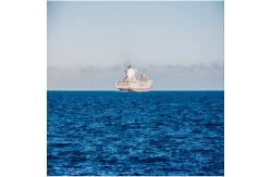 China One Stop LCL FCL Sea Freight Forwarding Services From China To India supplier