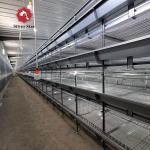 Hot-Dip Galvanized Steel Battery Layer Cages with Full Automatic System for Large Poultry Farm Project for sale
