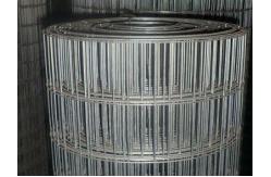 China Welded Steel Wire Mesh 4 ''x4''Rectangular Hole supplier