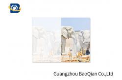 China Lovely Animals 3D Image Lenticular Card Printing Two Sides CMYK Offset Printing supplier