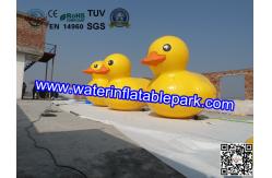 China Customized Inflatable Yellow Duck for Advertising supplier
