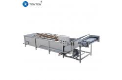 China Full Automatic Bubble Food Cleaning Machine For Fruit And Vegetable Washing supplier