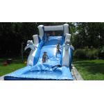 Inflatable Water Slide / inflatable giant wet slide with pool for sale