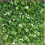 Commercial Buildings Artificial Wall Grass Low Maintenance for Public Areas for sale