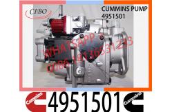 China Cummins NT855 NTA855 Fuel Pump 4951501 3019487 560659 3019488 supplier