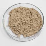 Customized 5-Phosphodiesterase Yeast Extract For Seasoning Processing for sale