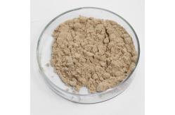 China Customized 5-Phosphodiesterase Yeast Extract For Seasoning Processing supplier