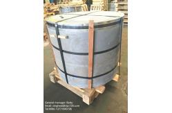 China Paint Cans Making Tin Plated Steel Coil JIS G3303 Standard Recyclable supplier