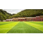 30mm Dark Green Turf Grass Professional Outdoor Soccer Artificial Sports Flooring for sale