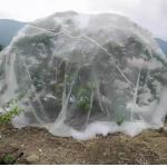 50 Mesh Insect Proof Netting For Fruit And Vegetables Protections