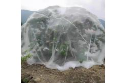 China 50 Mesh Insect Proof Netting For Fruit And Vegetables Protections supplier