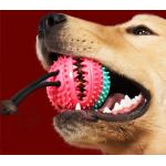 Chewy Dispensing Proof Dog Puzzle Training Ball On Rope For Dogs Puppies for sale