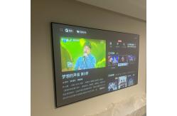 China 8K 3D Fixed Frame Screen Fresnel Anti Light Projector Screen supplier