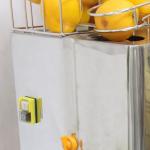 120W Grapefruit Juice Making Machine Orange Juice Extractor Machine high Yield