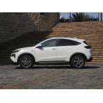 220V Mid Size SUV Models Ventilated Disc New Energy Electric Car