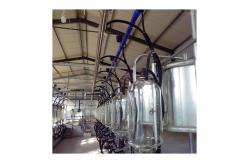 China SS304 Herringbone Milking Hall PVC pipeline Parallel Milking Parlor supplier